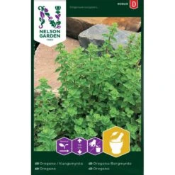 Oregano / Kungsmynta