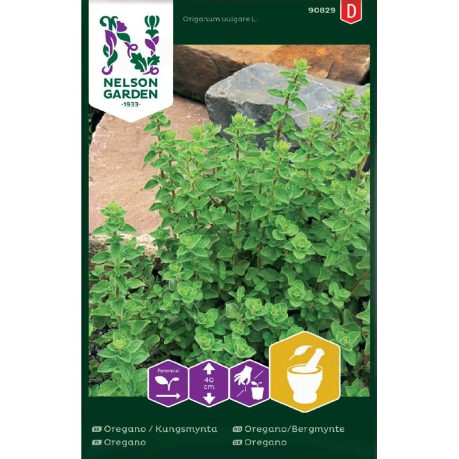 Oregano / Kungsmynta 3 Oregano / Kungsmynta