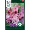 Sommarblommor Mix Pink Shades -Trädgårdsmateriel Försäljning 2024 9a7b92b6c2ed68325d6a44c50299a150