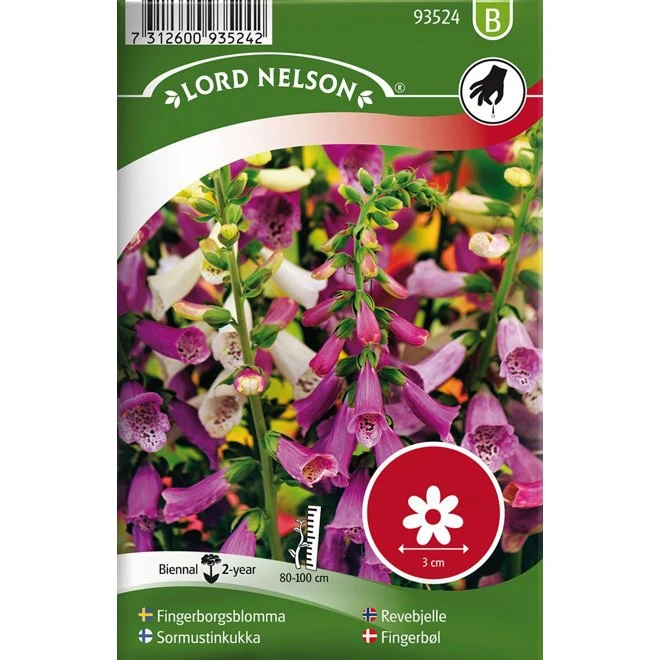 Fingerborgsblomma 3 Fingerborgsblomma