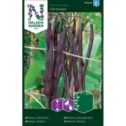 Störbrytböna 'Carminat'