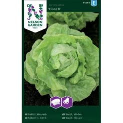 Huvudsallat 'Hilde II' Såband