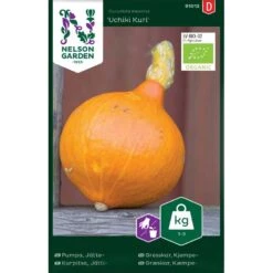 Jättepumpa 'Uchiki Kuri'