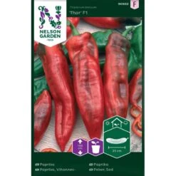 Paprika 'Thor' F1