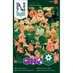 Buskkrasse 'Salmon Baby'