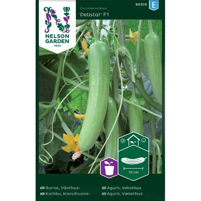 Växthusgurka 'Delistar' F1 3 Växthusgurka 'Delistar' F1
