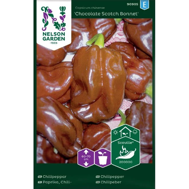 Chilipeppar 'Chocolate Scotch Bonnet' 3 Chilipeppar 'Chocolate Scotch Bonnet'