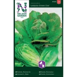 Romersk Sallat 'Lobjoits Green Cos'