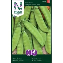Sockerärt 'Oregon Sugar Pod'