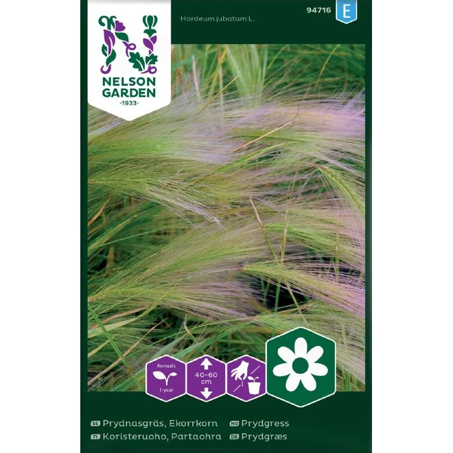 Prydnadsgräs, Ekorrkorn 3 Prydnadsgräs, Ekorrkorn