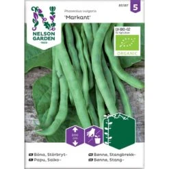 Störbrytböna 'Markant'