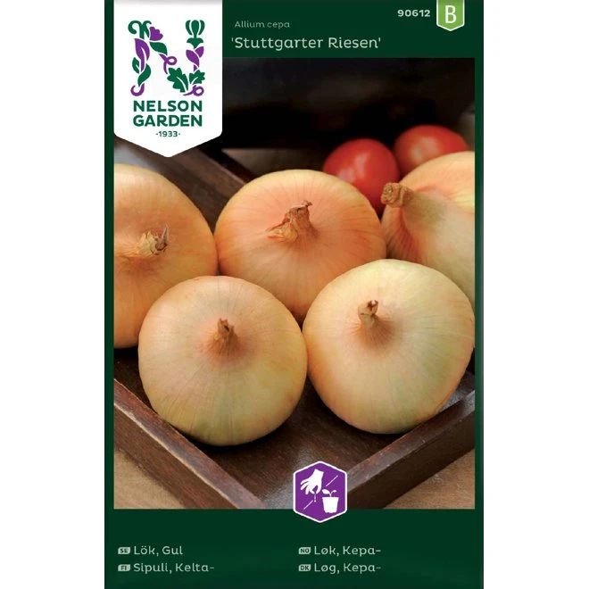 Lök, Gul 'Stuttgarter Riesen' 3 Lök, Gul 'Stuttgarter Riesen'