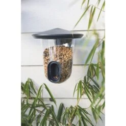 Fågelmatare Till Frön FeedR