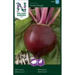 Rödbeta 'Moulin Rouge' Såband