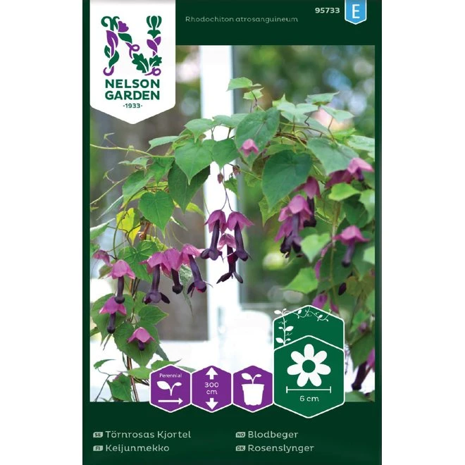 Törnrosas Kjortel 3 Törnrosas Kjortel