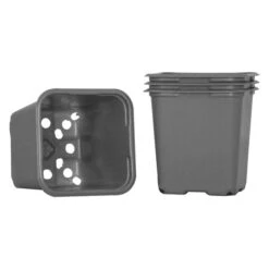 Odlingskruka Weibulls