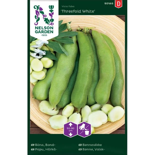 Bondböna 'Threefold White' 3 Bondböna 'Threefold White'