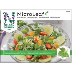 Micro Leaf Bondböna