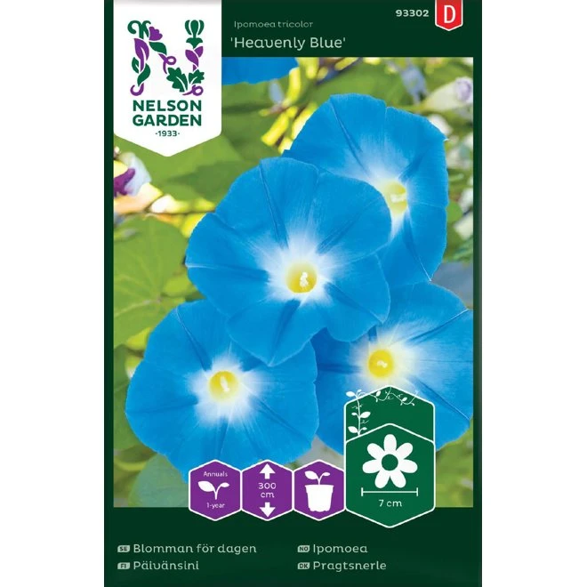 Blomman För Dagen 'Heavenly Blue' 3 Blomman För Dagen 'Heavenly Blue'