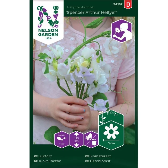 Luktärt 'Spencer Arthur Hellyer' 3 Luktärt 'Spencer Arthur Hellyer'