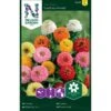 Zinnia 'Sunbow Mixed' -Trädgårdsmateriel Försäljning 2024 e836ac5ef65b2d2342d9cecefa701354