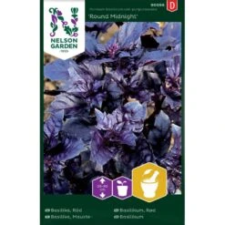 Basilika 'Round Midnight'