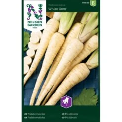 Palsternacka 'White Gem'