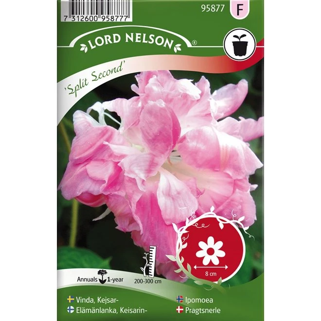 Kejsarvinda 'Split Second' 3 Kejsarvinda 'Split Second'