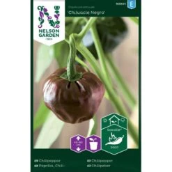 Chilipeppar 'Chiluacle Negro'