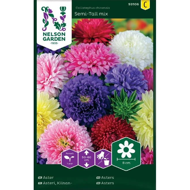 Aster Semi-Tall Mix 3 Aster Semi-Tall Mix