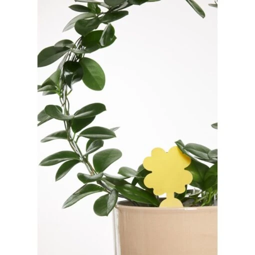 Klisterfälla Blomsterlandet -Trädgårdsmateriel Försäljning 2024 f5b1f798186870c3fb3984d7238faef6