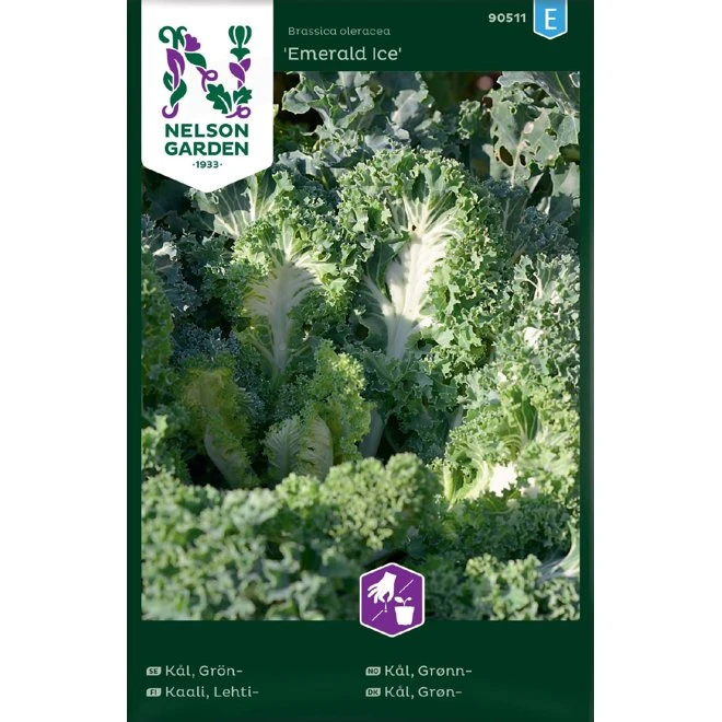 Grönkål 'Emerald Ice' 3 Grönkål 'Emerald Ice'